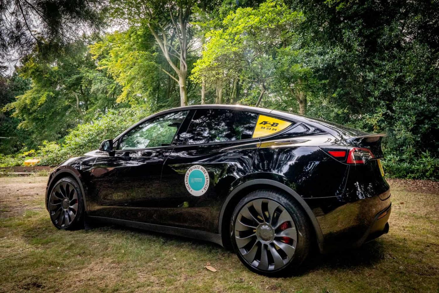 Black Tesla Model Y Performance with A2B Taxis Norwich roof sign, side view in woodland setting